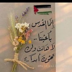 Shahd Mattar