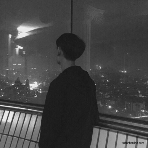 Ở Đây Chúng Tôi Có Nhạc Lofi🎵 — artist photo