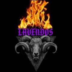LavendosxGang2