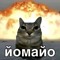 NTSTINT