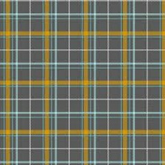 Matt in Plaid
