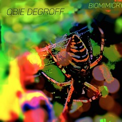 Obie DeGroff