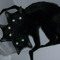 ray_s