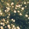 w1bi