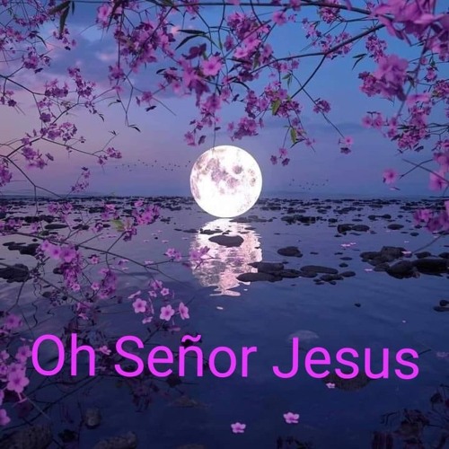 Oh Señor Jesús te amo 🥰😍❤️✨🌾’s avatar