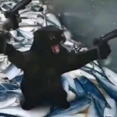 DarkBrother