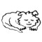 fuzzyy