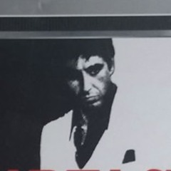 Lil Molly‏‏‎ YLG ‏‏‎🦇🎸