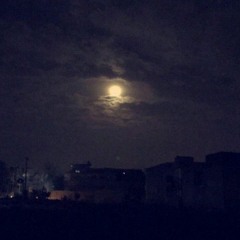 Syeda Nayab Fatima
