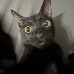 好想ㄘ憨貝格🍔