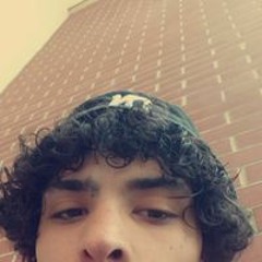 Syriian