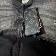 Leon el rey de la selva 💫🐝