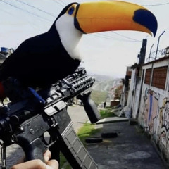 qu1gmayör n1xxxm4re