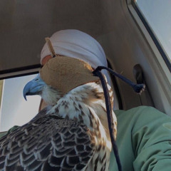 بـو زايـددّ .