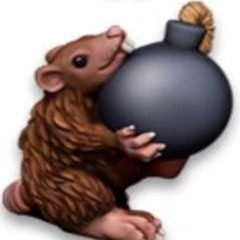 bomb_rat💣🐀🇲🇽