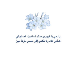 ام وديعة ❤️🌹