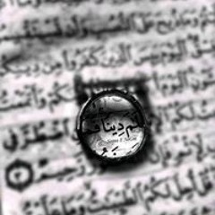 دينا أبوالخير