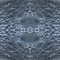Radiolaria