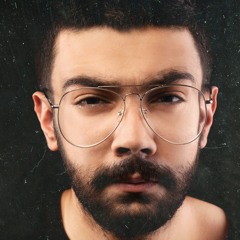 almin nematollahi