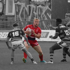 Harry Price