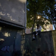 bobrr_167