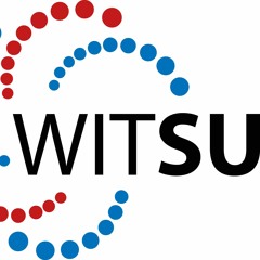 WITSU