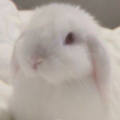 sᴏᴘʜ!!ᙏ̤̫͚