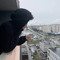 багажнек