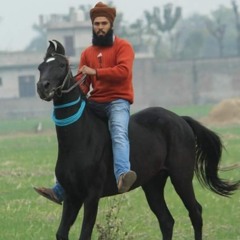 Hardeep Virk