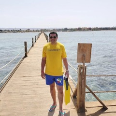 Mahmoud Mohamed Diab