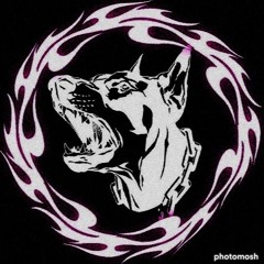 dobermann