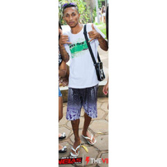 Fabin reis
