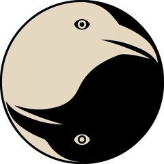 Feathered Friend Media