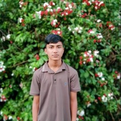 Minhajul Islam