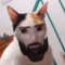 Krownei