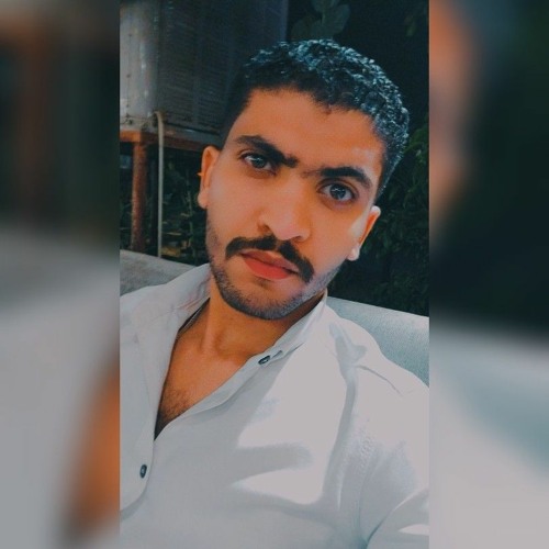 Mostafa Hamam’s avatar