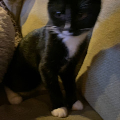 ellie <3