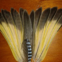 Marc Hanke aka  P-YO-T