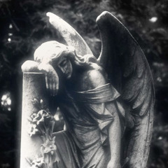 ˚₊‧꒰ა ♱ ໒꒱ ‧₊˚