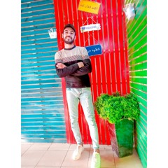 Hamed M Abotaha