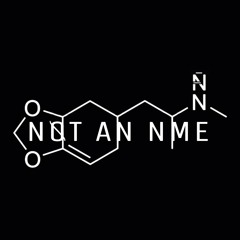 NOT AN NME