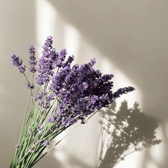 lavender