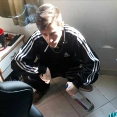 zanoniaz
