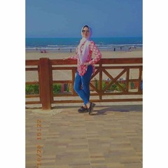 Menna El Sayed