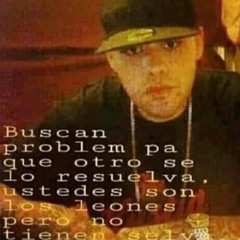ELTDLLPZ maketa