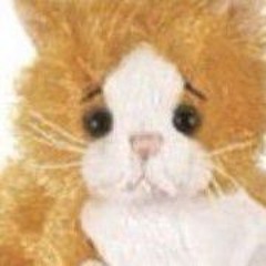 soppingcat