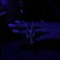 7everse(@7everse._