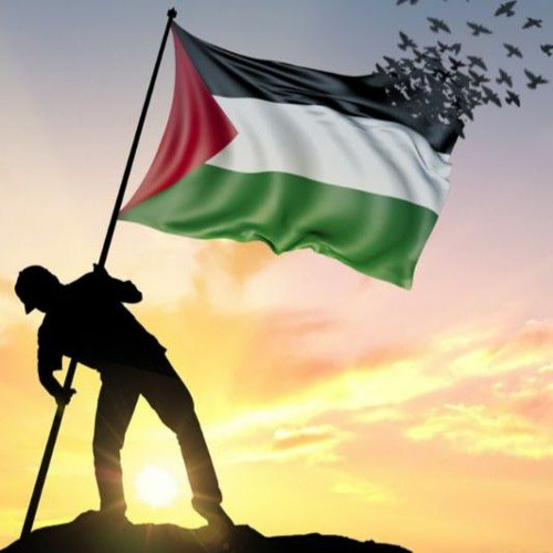 فلسطين’s avatar
