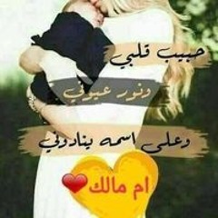 Anosh Hassanin