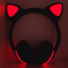 Мики Маус🐈‍⬛